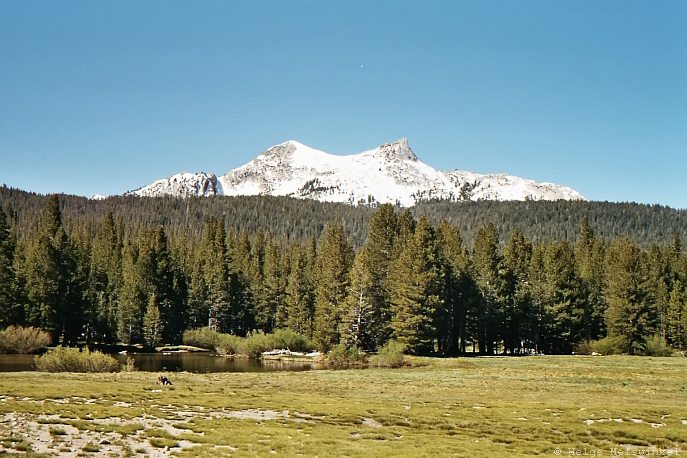109