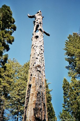 142