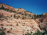 Zion NP