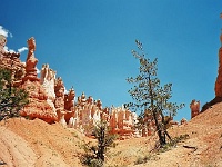 Bryce Canyon