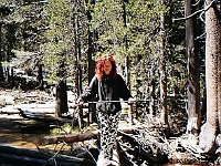 Yosemite NP - Tuolumne Meadows