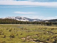 Yosemite NP