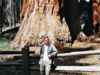 Mariposa Grove