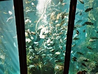 Monterey Bay Aquarium