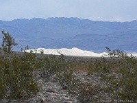 Eureka Sanddunes