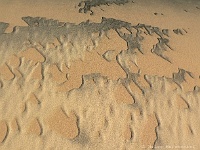 Kelsoo Sanddunes