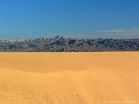 Kelsoo Sanddunes