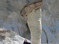 Wahweap Hoodoos