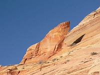 Seehund in den Coyote Buttes North