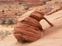 Coyote Buttes North - The Bee