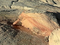 Yellow Rock - Rüsseltier