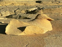Yellow Rock - Ente