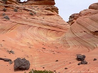 Coyote Buttes South - eine Wave?