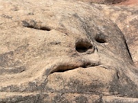 Steingeist in den Needles
