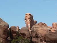 Elefant im Arches NP