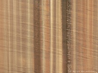 Canyonwand - Lower Calf Creek Falls