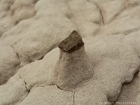 Mini Hoodoo in den Rimrocks