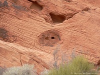 Valley of Fire - Schwein im Stein