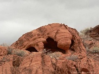 Valley of Fire - Monsterinsekt