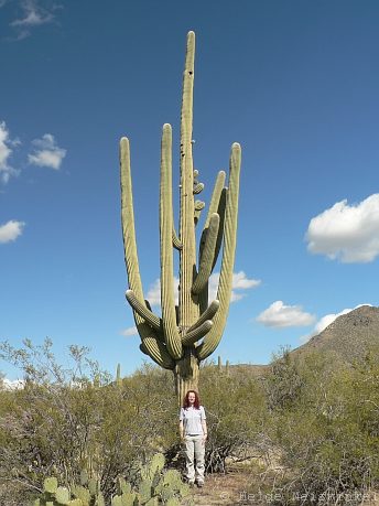 071