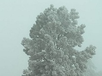 Winter in den Rocky Mountains
