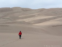 Great Sand Dunes N.P. - auf dem Weg zur High Dune