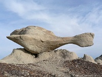 Bisti Badlands - Schildkröte
