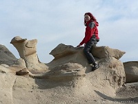 Bisti Badlands - 2 Kamele?