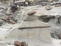 Bisti Badlands