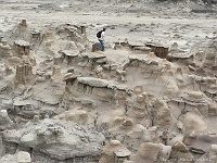 Bisti Badlands