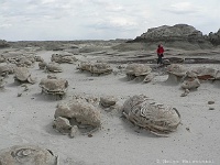 Bisti Badlands