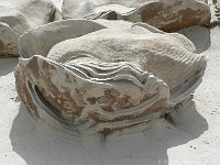 Bisti Badlands