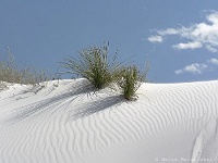 White Sands