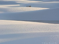 White Sands