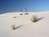 White Sands
