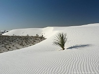 White Sands