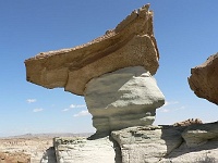 Stud Horse Point