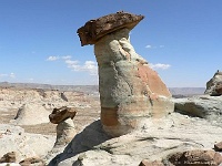 Stud Horse Point