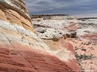 White Pocket