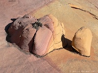 Coyote Buttes South