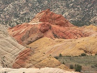 Yellow Rock - Red Top