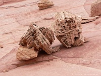 Coyote Buttes North - Gorilla