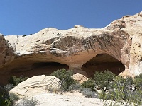 Wildhorse Window