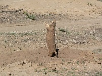 Denver - National Wildlife Refuge Area
