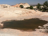 Coyote Buttes North