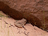 Brimstone Gulch