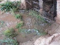 Gewitter im GSENM bei Escalante