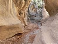 Willis Creek