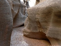 Willis Creek