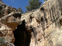 Willis Creek